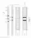 Fig. 04 - High reliability low latency mission critical communication