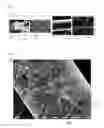 Fig. 02 - HEATING WIRE AND PLANAR HEATING SHEET INCLUDING THE SAME