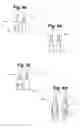 Fig. 07 - Resistive bypass for series lighting circuit