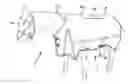 Fig. 01 - Horse Blanket with Insulative Insert