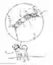 Fig. 01 - EMERGENCY RESPONSE PET COLLAR DEVICE