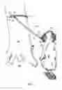 Fig. 09 - Leash with variable anchor
