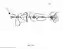 Fig. 02 - HOOKED ON FISHING LURE/SPINNER BAIT