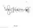 Fig. 05 - HOOKED ON FISHING LURE/SPINNER BAIT