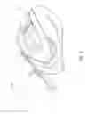 Fig. 02 - Spool brake device