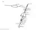 Fig. 01 - HOOKED ON BOTTOM BOUNCER DEVICE
