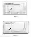 Fig. 04 - COMPOSITIONS FOR CONTROL OF HEMIPTERAN INSECT STYLET SHEATH STRUCTURE FORMATION