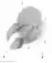 Fig. 02 - Pastry crust cutting devices, assemblies, components, and methods