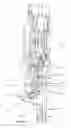 Fig. 12 - Evisceration apparatus and a method for eviscerating suspended poultry