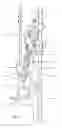 Fig. 15 - Evisceration apparatus and a method for eviscerating suspended poultry