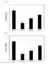 Fig. 02 - Functional composition for improvement and prevention of estrogen deficiency in menopausal women