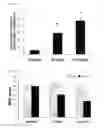 Fig. 08 - Functional composition for improvement and prevention of estrogen deficiency in menopausal women