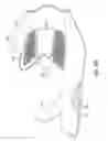Fig. 40 - Composite upper for shoe with selectively disposed bonding agent