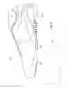 Fig. 09 - Article of footwear for soccer