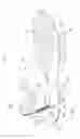 Fig. 02 - SHOE HAVING SHOE SOLE WITH DIVIDED FOREFOOT PORTION