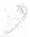 Fig. 11 - SHOE HAVING SHOE SOLE WITH DIVIDED FOREFOOT PORTION