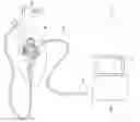 Fig. 01 - Endoscope system