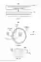 Fig. 02 - Method and apparatus for optical coherence tomography scanning