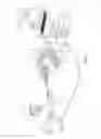 Fig. 02 - Seeing through mucus in an ENT procedure