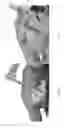 Fig. 29 - Universal instrument guide for robotic surgical systems, surgical instrument systems, and methods of their use