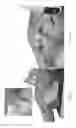 Fig. 35 - Universal instrument guide for robotic surgical systems, surgical instrument systems, and methods of their use