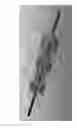 Fig. 48 - Continuous Flow Balloon Catheter Systems and Methods of Use