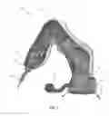 Fig. 03 - PROTECTIVE DRAPE FOR ROBOTIC SYSTEMS