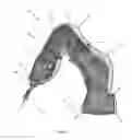 Fig. 06 - PROTECTIVE DRAPE FOR ROBOTIC SYSTEMS