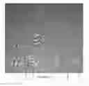 Fig. 26 - Surgical implant for marking soft tissue