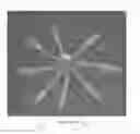 Fig. 27 - Surgical implant for marking soft tissue