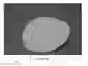 Fig. 29 - Surgical implant for marking soft tissue