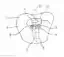 Fig. 01 - Production method for tooth replacement part and veneer structure