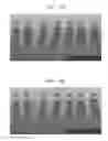 Fig. 04 - Composition for Improving Photo Scanning, and Method for Improving Photo Scanning of Product