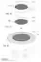 Fig. 07 - Surgical implant consisting of non-absorbable material