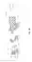 Fig. 19 - Intraocular lens injector