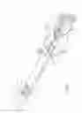 Fig. 02 - Intraocular lens injector