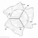 Fig. 01 - DURABLE MULTI-LAYER HIGH STRENGTH POLYMER COMPOSITE SUITABLE FOR IMPLANT AND ARTICLES PRODUCED THEREFROM