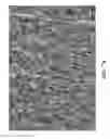 Fig. 09 - DURABLE MULTI-LAYER HIGH STRENGTH POLYMER COMPOSITE SUITABLE FOR IMPLANT AND ARTICLES PRODUCED THEREFROM