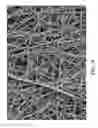 Fig. 11 - DURABLE MULTI-LAYER HIGH STRENGTH POLYMER COMPOSITE SUITABLE FOR IMPLANT AND ARTICLES PRODUCED THEREFROM
