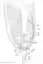 Fig. 01 - Transdermal intraosseous device