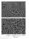 Fig. 07 - Scaffold system for tissue repair
