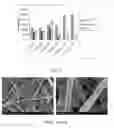 Fig. 14 - Scaffold system for tissue repair