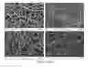 Fig. 17 - Scaffold system for tissue repair