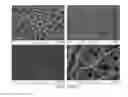 Fig. 18 - Scaffold system for tissue repair