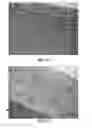 Fig. 24 - Scaffold system for tissue repair