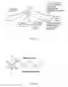Fig. 15 - Endovascular implant