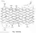 Fig. 30 - Uncaging stent