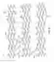 Fig. 99 - Uncaging stent