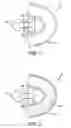 Fig. 02 - FULL BREATH NO SNORE
