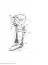 Fig. 01 - Walking assistant harness